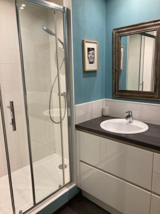 Agreable Et Spacieuse Maison Centre Ville Saint-Omer Экстерьер фото