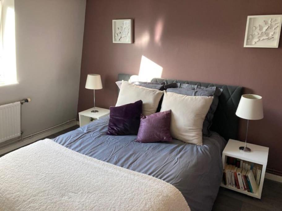 Agreable Et Spacieuse Maison Centre Ville Saint-Omer Экстерьер фото