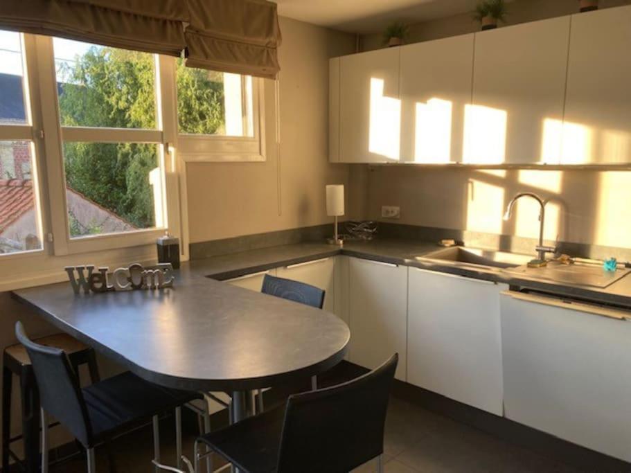 Agreable Et Spacieuse Maison Centre Ville Saint-Omer Экстерьер фото